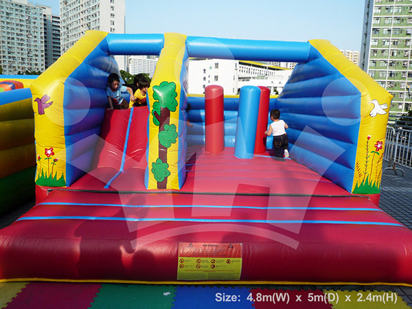 IMAGE_DESC_TAG