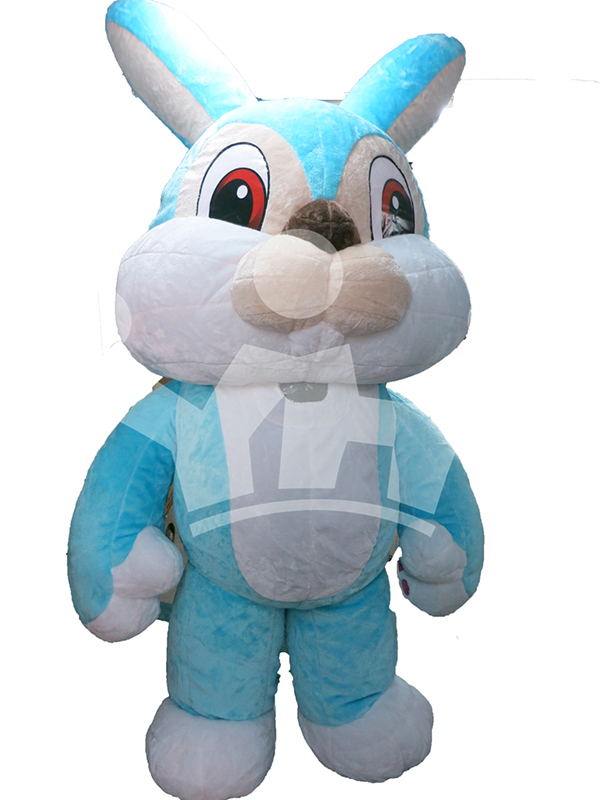 IMAGE_DESC_TAG