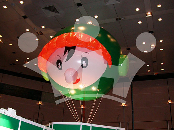 IMAGE_DESC_TAG