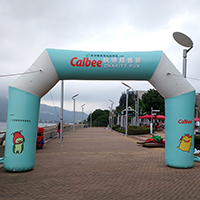 Calbee&Acirc;&sect;&Atilde;�&Acirc;&frac14;&Atilde;�&Acirc;&middot;O&Acirc;&micro;&Acirc;&frac12;&Acirc;&para;](2017)