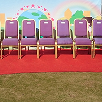 &Acirc;&sup1;&Atilde;�&Acirc;&raquo;&Acirc;&laquo;&Acirc;&acute;&Atilde;� VIP Chair