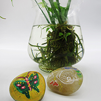 &Acirc;&yen;&Atilde;�&Atilde;�Y&Acirc;&plusmn;m&Atilde;�&Acirc;&cedil; Stone Painting