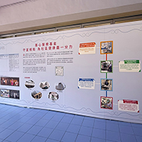 20&Acirc;&sect;` x 8&Acirc;&sect;`&Acirc;&deg;&Acirc;&ordf;&Acirc;&shy;I&Acirc;&acute;&Acirc;&ordm;&Acirc;&ordf;O 20ft x 8ftH Foamboard Backdrop