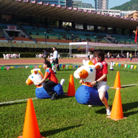&Acirc;&cedil;&Atilde;&micro;&Acirc;&cedil;&Atilde;&micro;&Acirc;&deg;&Acirc;&uml;Jumping Horse