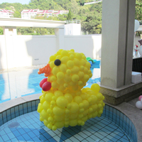 &Acirc;&reg;&Atilde;&deg;&Acirc;&sup2;y&Acirc;&cedil;&Atilde;�&Acirc;&sup1;&Acirc;&cent;Balloon Decoration - 11