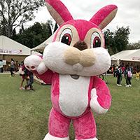 &Acirc;&macr;&Acirc;&raquo;&Acirc;&not;&Atilde;&micro;&Acirc;&uml;&Atilde;�&Acirc;&curren;l Pink Rabbit Mascot