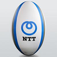 NTT&Atilde;�V&Acirc;&sup2;y NTT Rugby (2019)