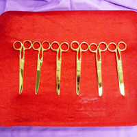 &Acirc;&ordf;&Atilde;&middot;&Acirc;&cedil;&Atilde;&raquo;&Acirc;&deg;&Atilde;�Golden Scissor